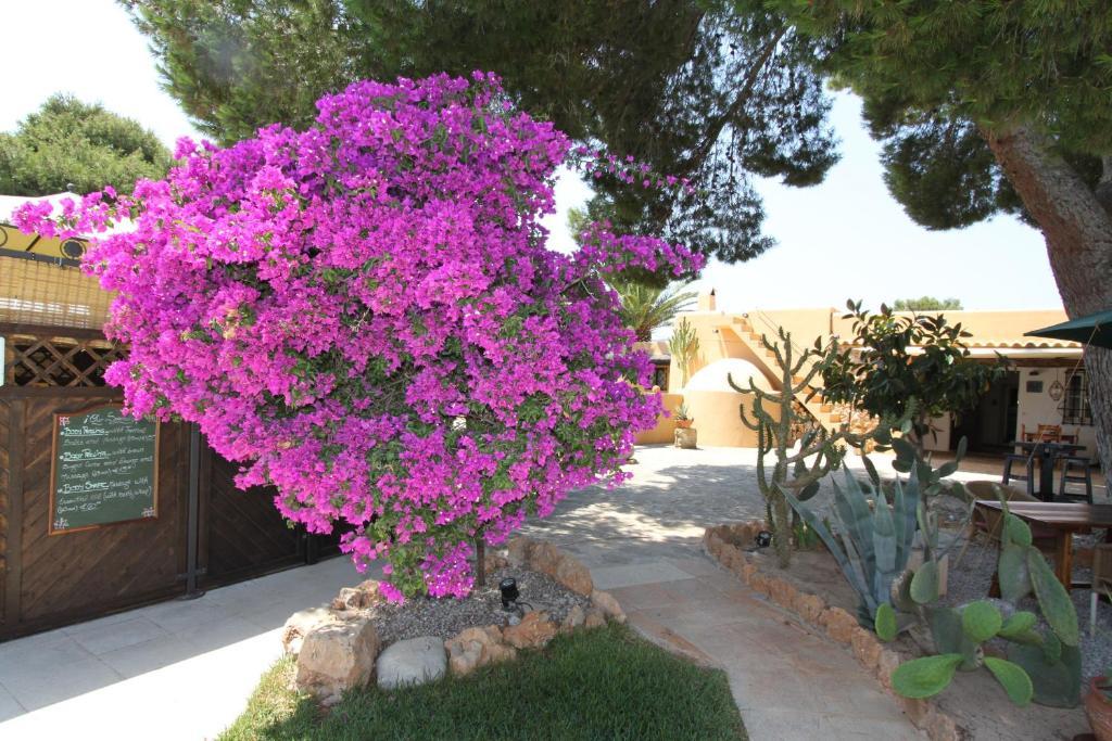 Sant Jordi de ses Salines Finca Can Toni מראה חיצוני תמונה